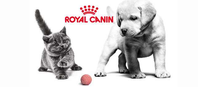 ROYAL CANIN suņu barība