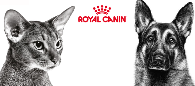 ROYAL CANIN suņu barība