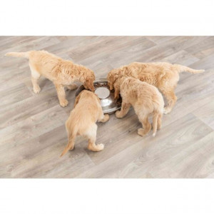 TRIXIE PUPPY BOWL bļoda kucēniem 1.4L 29cm