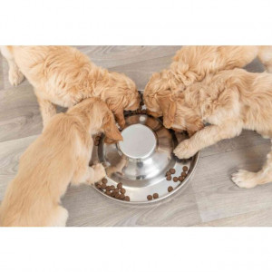 TRIXIE PUPPY BOWL bļoda kucēniem 4L 38cm