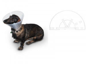 Fioniavet Classic pēcoperācijas apkakle suņiem, kaķiem Dažādi izmēri