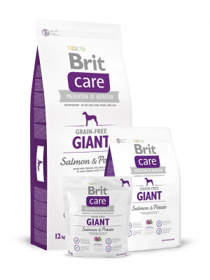 Brit Care GF Giant Salmon & Potato bezgraudu sausā barība suņiem Lasis 12kg