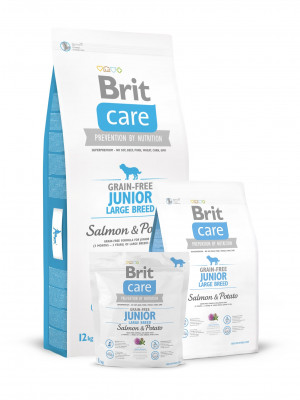 Brit Care GF Junior Large Breed Salmon & Potato bezgraudu sausā barība kucēniem Lasis 3kg