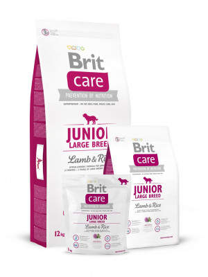 Brit Care Junior LARGE Breed Lamb & Rice sausā barība lielo šķirņu kucēniem Jers, rīsi 12kg