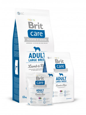 Brit Care Adult Large Breed Lamb & Rice sausā barība suņiem Jērs, rīsi 12kg
