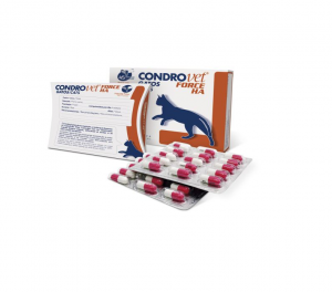 Bioberica CondroVet Force papildbarība tabletes kaķiem locītavu aizsardzībai 45tab