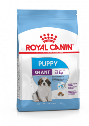 Royal Canin SHN GIANT PUPPY sausā suņu barība 1kg
