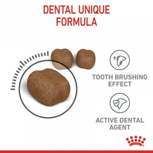 Royal Canin FCN DENTAL CARE sausā kaķu barība 400g