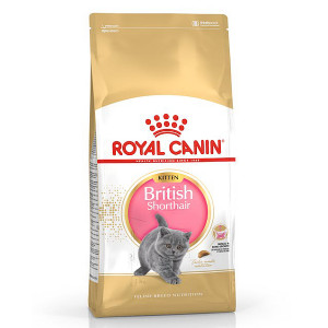 Royal Canin FBN KITTEN BRITISH SHORTHAIR sausā barība kaķēniem 10kg