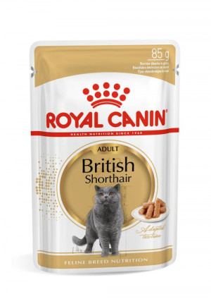 Royal Canin FBN BRITISH SHORTHAIR WET kaķu konservi mērcē 85g x12