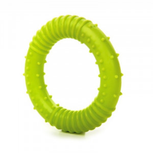 JK suņu rotaļlieta TPR GREDZENS SMALL DOG GREEN 8cm