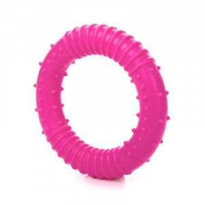 JK suņu rotaļlieta TPR GREDZENS SMALL DOG PINK 8cm