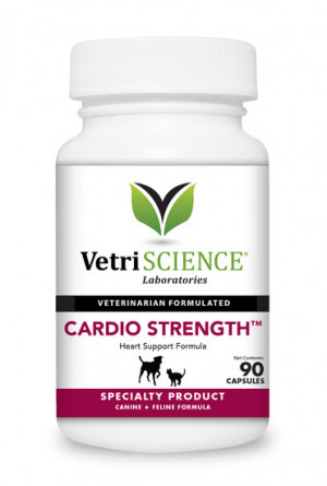 CARDIO STRENGTH™ piedeva suņiem kaķiem sirds, asinsvadu sistēmas 90tab