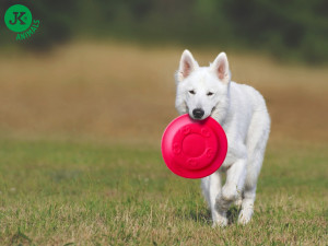 JK suņu rotaļlieta Frisbee Eva lidojošs šķīvis Sarkans 22cm