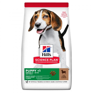 HILLS Dog Medium Puppy sausā barība vidējo šķirņu kucēniem Jērs 18kg