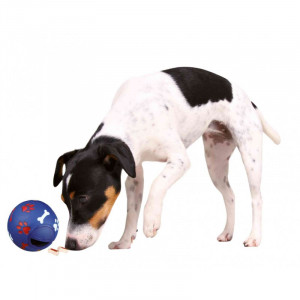 TRIXIE SNACK BALL interaktīva rotallieta suņiem Bumba gardumiem 7cm
