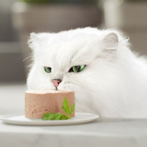 Gourmet Gold PATE kaķu konservi pastēte Tuncis 85g