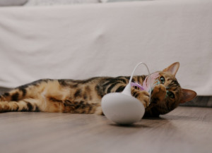 Epic Pet SPINNING automātiskā interaktva rotaļlieta kaķiem 8cm