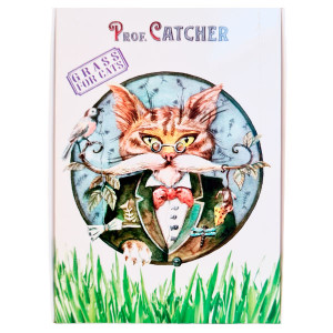 Prof. Catcher Cat kaķu zāle komplekts ar ceolītu zāles diedzēšanai kaķiem