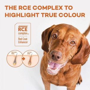 NATURE`S PROTECTION SUPERIOR CARE DOG RED ALL sausā barība suņiem Jērs 10kg
