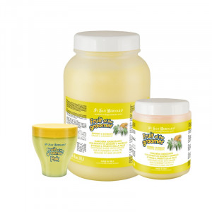 IV SAN BERNARD GINGER & ELDERBERRY maska suņiem pret niezi 1000ml
