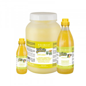 IV SAN BERNARD GINGER & ELDERBERRY šampūns suņiem attīrošs 1000ml