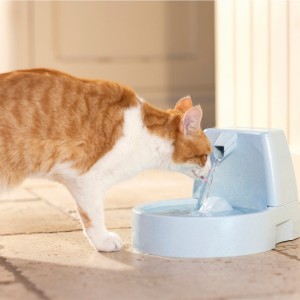 PetSafe Drinkwell® Original automātiskā dzirdinātava 1.5L
