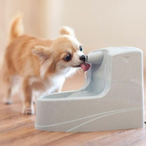 PetSafe Drinkwell Mini automātiskā dzirdinātava 1L